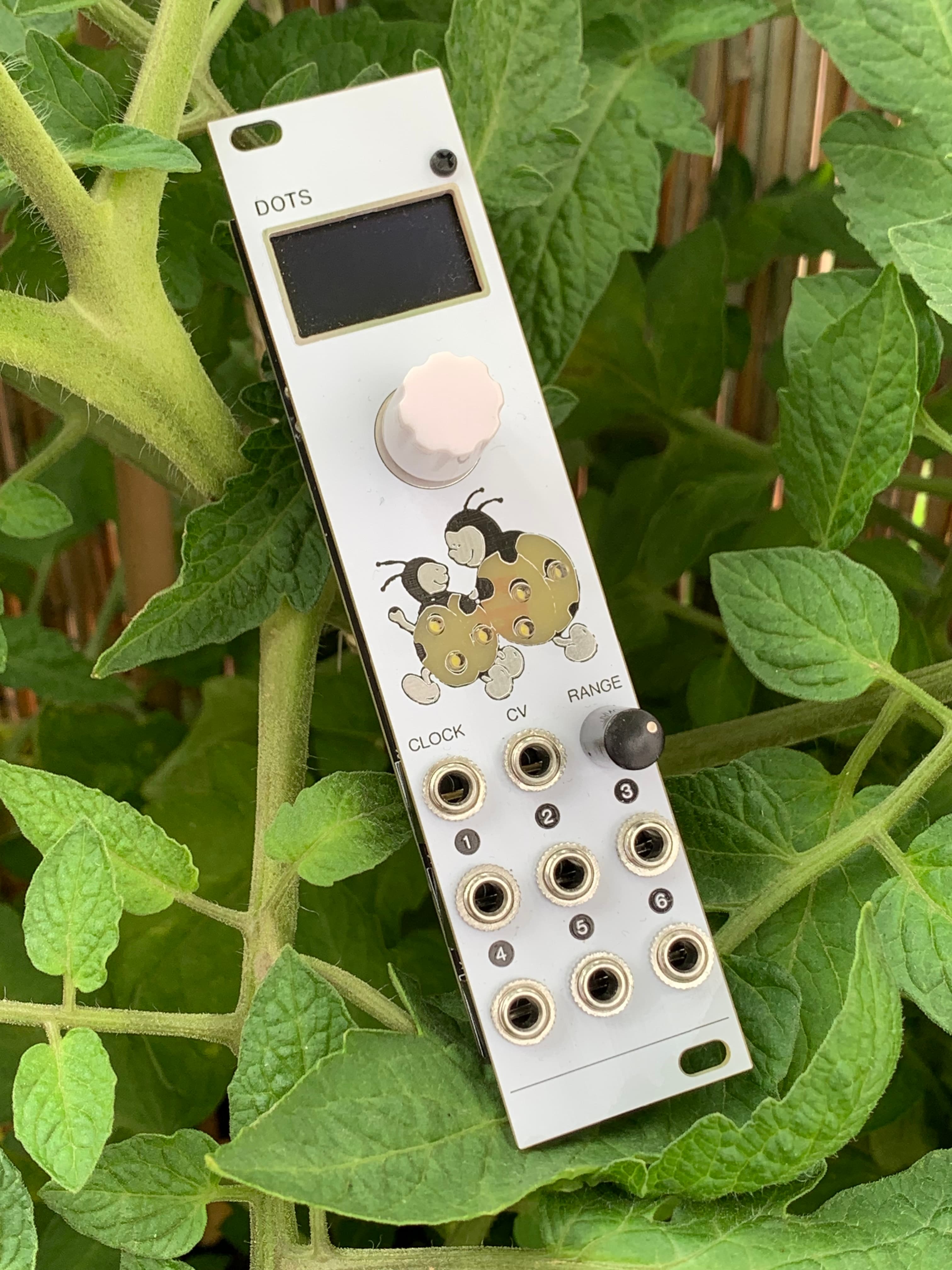DOTS module video
